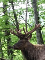 IMG_4756.jpeg