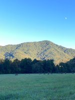 IMG_0003.jpeg