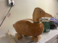IMG_0230.jpeg