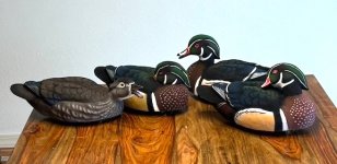 IMG_6075.jpg
