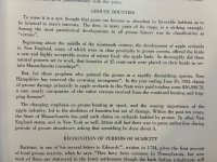 IMG_6011.jpeg