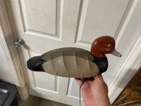 IMG_2826.jpeg