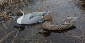 sm Wildfowler Pintail Pair - sea trial 1.jpg sm Wildfowler Pintail Pair - sea trial 1.jpg