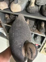 IMG_8170.jpeg