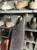 IMG_8171.jpeg