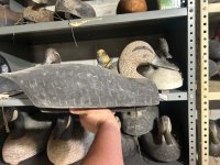 IMG_8172.jpeg