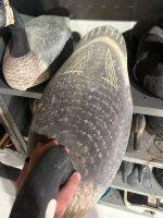 IMG_8175.jpeg