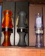 IMG_6765.jpeg
