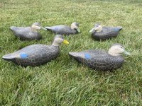 IMG_4899.jpeg