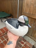 IMG_3817.jpeg