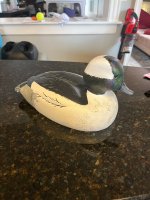 IMG_3818.jpeg
