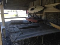 IMG_4517.jpeg