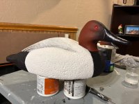 IMG_0290.jpeg
