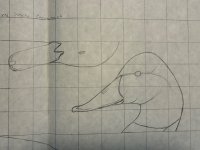 IMG_8465.jpeg