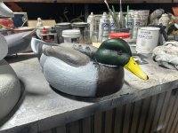 IMG_5486.JPEG