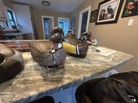 IMG_5496.JPEG