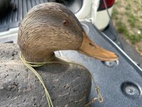 IMG_8280.jpeg