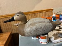 IMG_0309.jpeg
