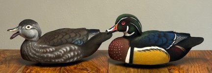 IMG_6116.jpg