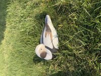 IMG_4273.jpeg