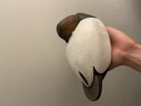 IMG_3412.jpeg