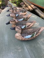 IMG_5285.jpeg