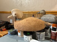 IMG_0321.jpeg
