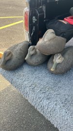 IMG_6606.jpeg