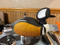 IMG_0345.jpeg