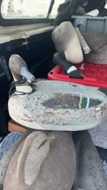 IMG_6608.jpeg