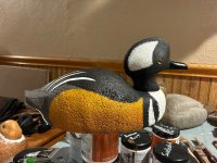 IMG_0347.jpeg