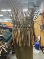 IMG_0523.jpeg