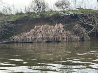 IMG_0580.jpeg