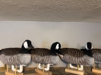 IMG_6908.jpeg