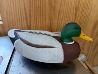 IMG_0410.jpeg