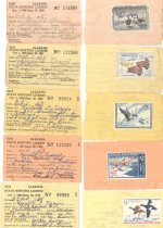 Licenses.jpg