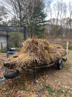 IMG_3561.jpeg