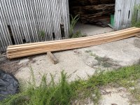 IMG_0934.jpeg