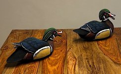 IMG_6140.jpg IMG_6140.jpg