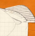 Pintail Pattern - tail details 2 OBSCURE.jpg