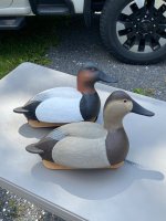IMG_5696.jpeg