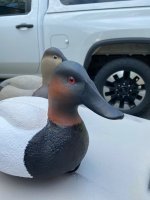 IMG_5693.jpeg