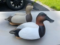 IMG_5691.jpeg