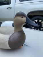 IMG_5694.jpeg