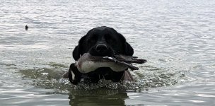 IMG_1203.jpeg