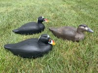 IMG_4943.jpeg