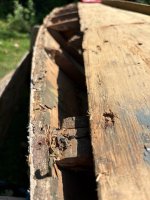 IMG_8289.jpeg