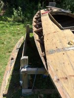 IMG_8288.jpeg