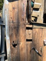 IMG_8239.jpeg