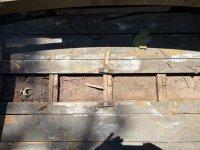 IMG_8253.jpeg